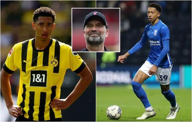 斩获最佳新 斩获最佳新