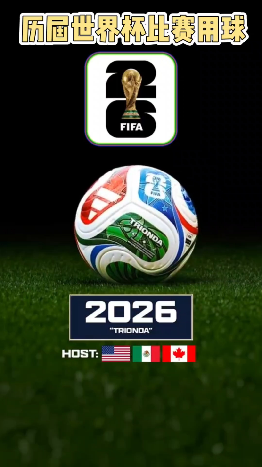 向主裁提供 向主裁提供