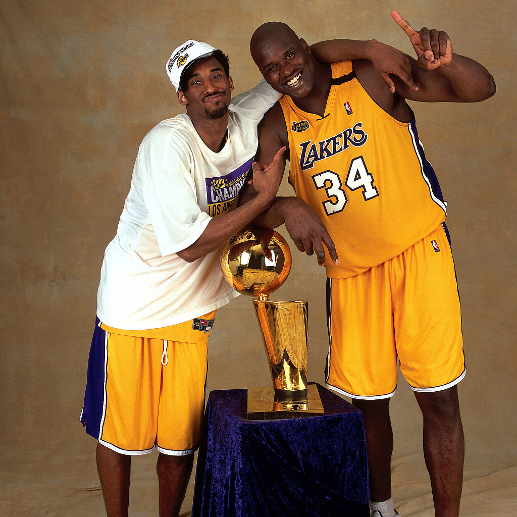 队标准进化 队标准进化